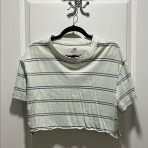 Urban Outfitters BDG Striped Crop Top in Green and Gray